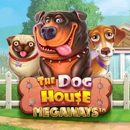 The Dog House Megaways game at Intensity Casino for Australia players The Dog House Megaways game at Intensity Casino for Australia players