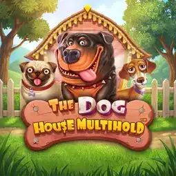 The Dog House Multihold game at Intensity Casino for Australia players The Dog House Multihold game at Intensity Casino for Australia players